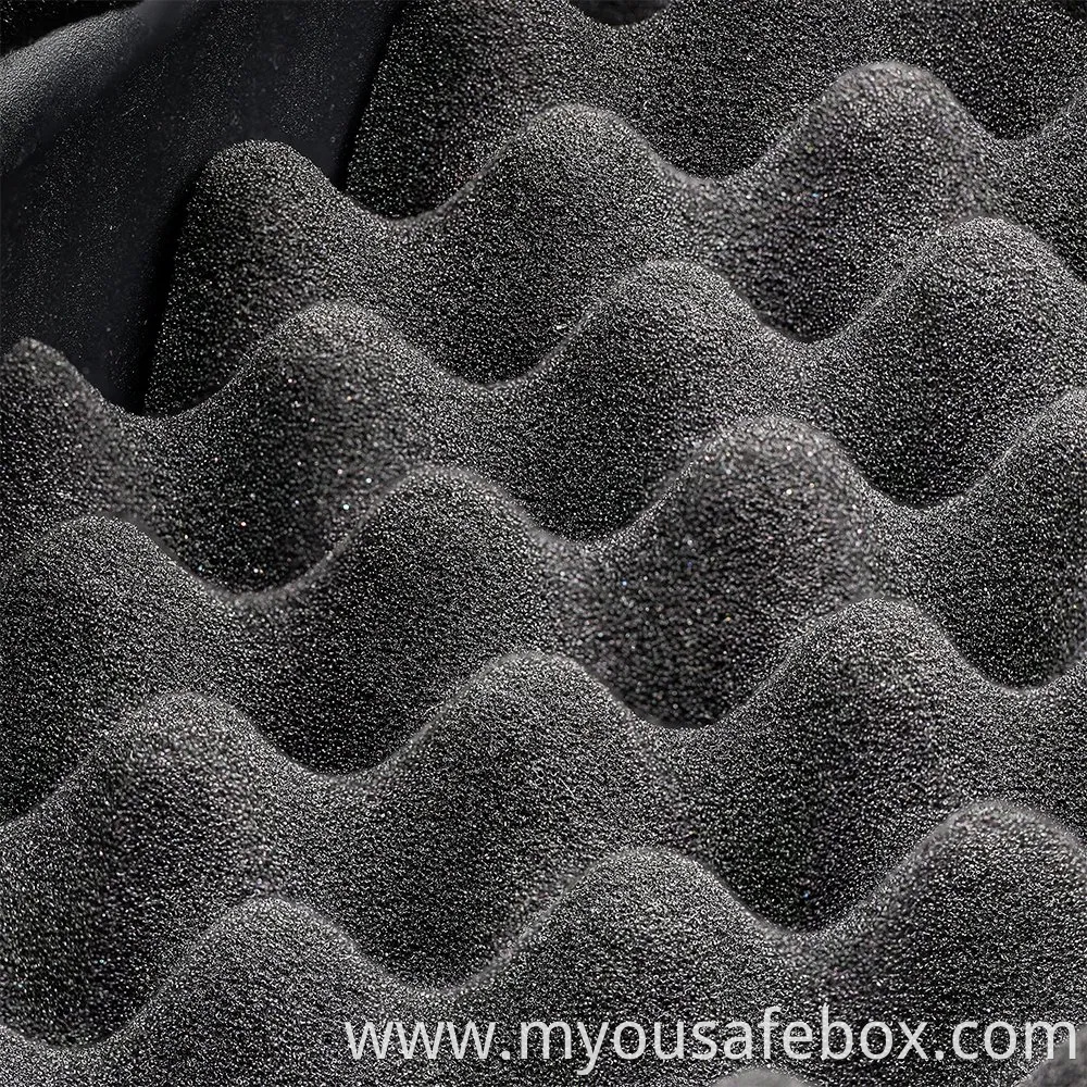 Biometric Gun Safe,Gun Safe for Pistols,Quick-Access Handgun Safe,Two Firearm Capacity with Fingerprint Lock and Key Pad,Gun Lock Box for Home,Nightstand and Ca